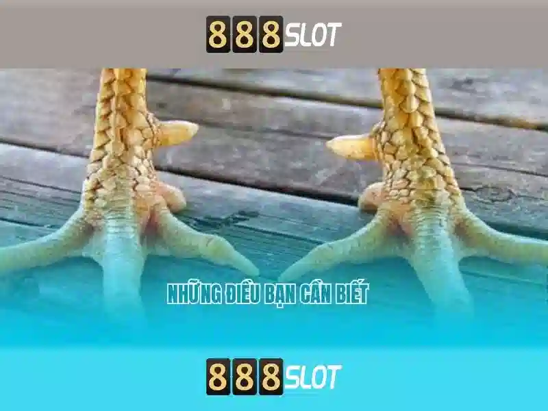 888slot: Nền tảng trò chơi và trải nghiệm người dùng Giao diện nhà cái hoàn hảo