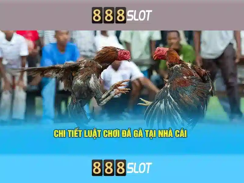 Khám phá 888slot: Đánh giá tổng quan về casino trực tuyến Giao diện nhà cái hoàn hảo