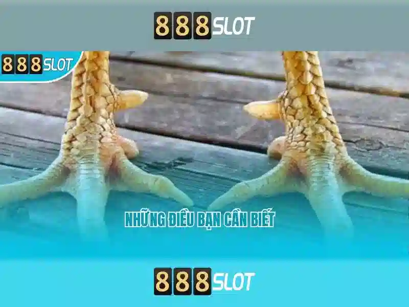 888slot - Đánh giá sòng bạc trực tuyến uy tín Giao diện nhà cái hoàn hảo