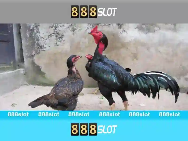 Nguồn gốc và sứ mệnh của 888slot tải