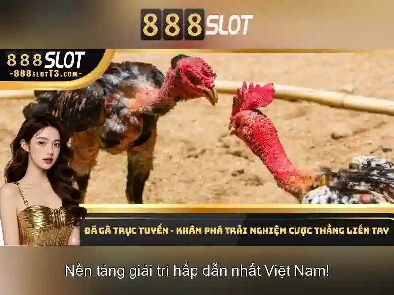 Giao diện nhà cái hoàn hảo
