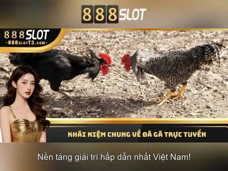 Tại sao chọn 888slot?
