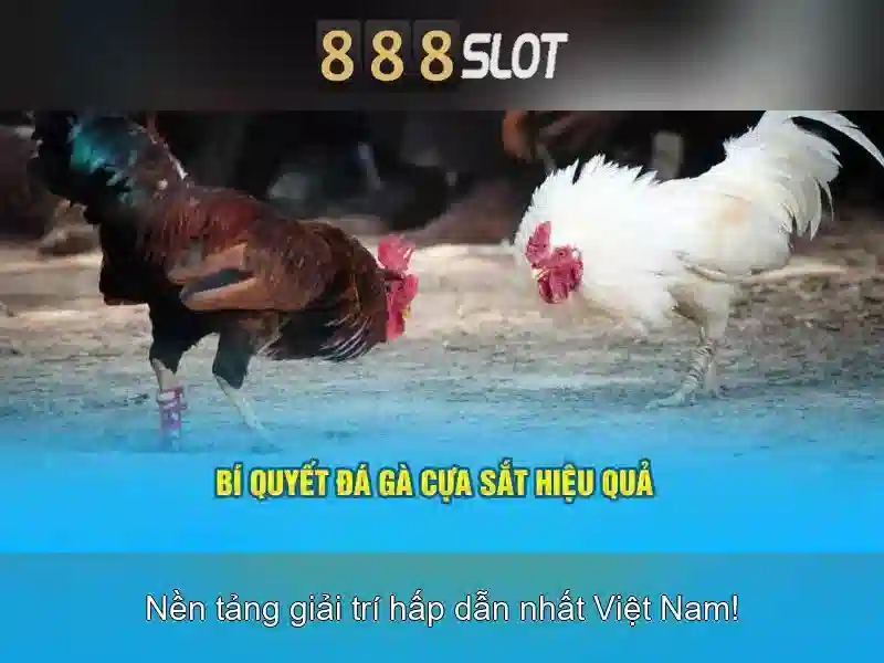 Giao diện nhà cái hoàn hảo