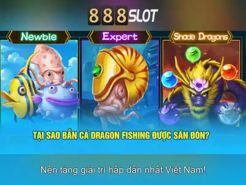 Khuyến mãi và chương trình thưởng