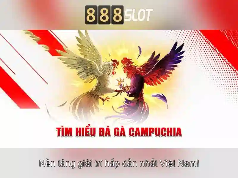 Giới thiệu về 888slot\n<h2><b>Cung cấp trò chơi đa dạng</b></h2>\n<p><span style=